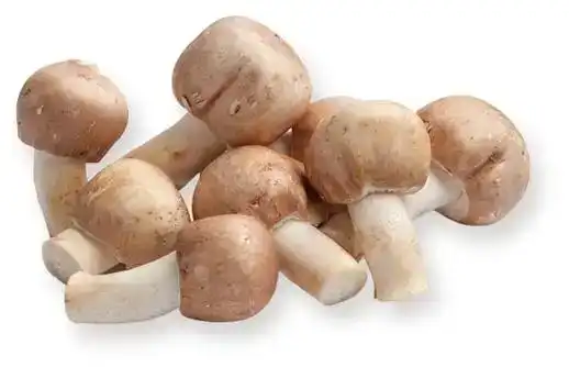 Organic Agaricus Blazei Powder